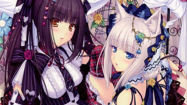 动物园之星破解版